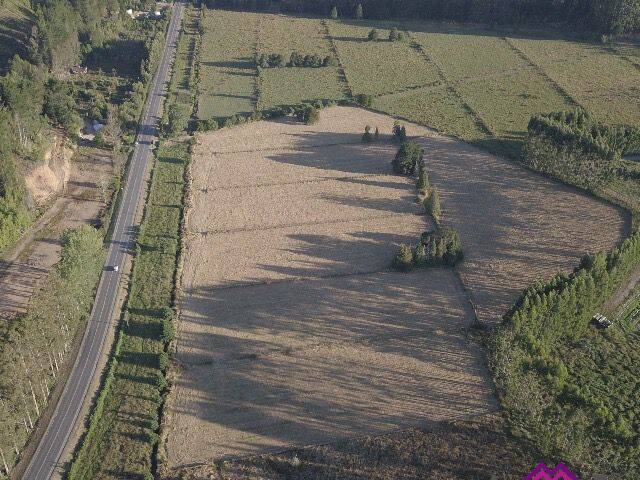 Quinta para Venta en Valdivia - 5
