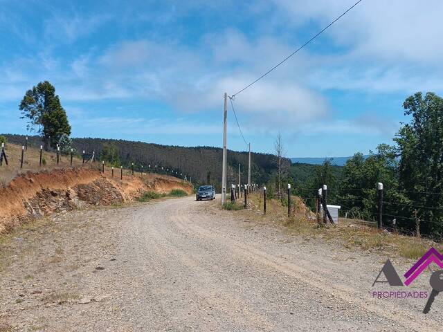 #85 - Área para Venta en Valdivia - XIV - 1