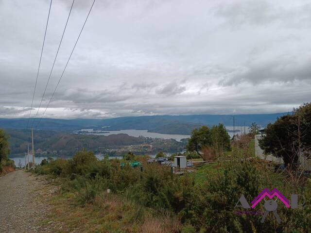 #134 - Área para Venta en Valdivia - XIV - 3
