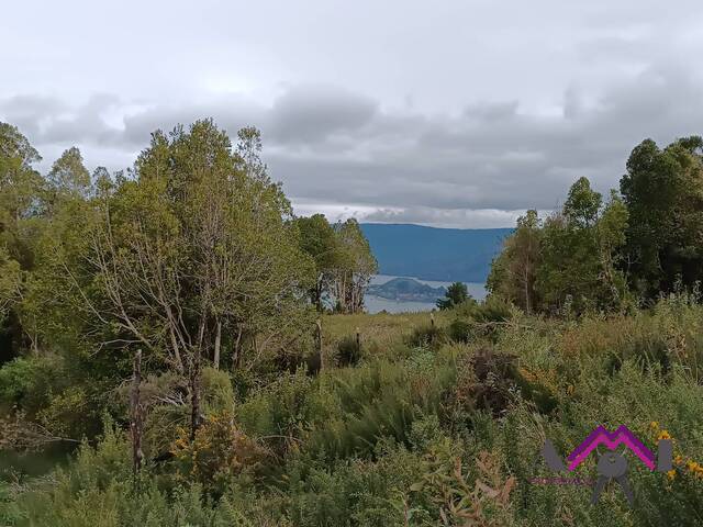 Área para Venta en Valdivia - 5