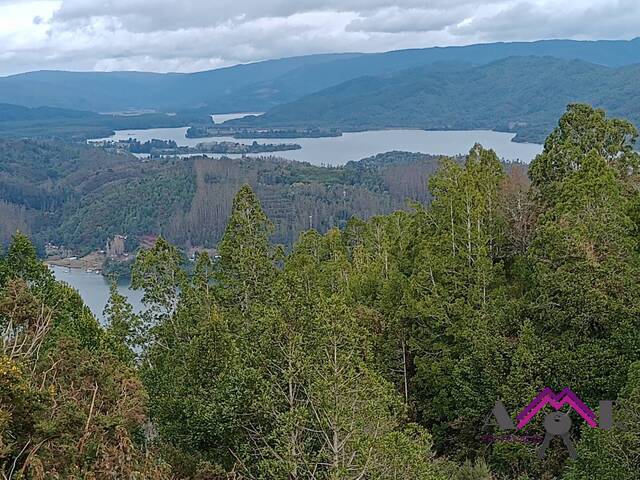 #134 - Área para Venta en Valdivia - XIV - 1
