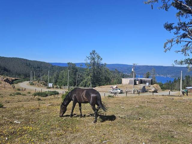 #133 - Terreno para Venta en Valdivia - XIV - 1