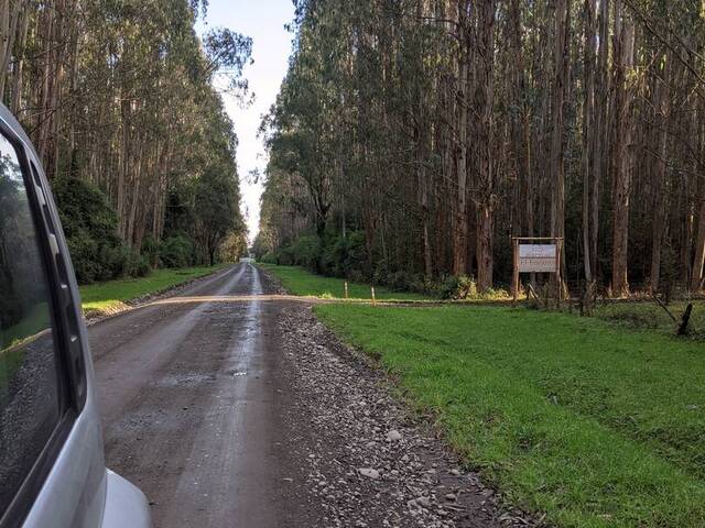 #175 - Área para Venta en Osorno - X