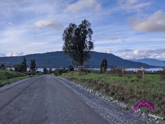 #175 - Área para Venta en Osorno - X