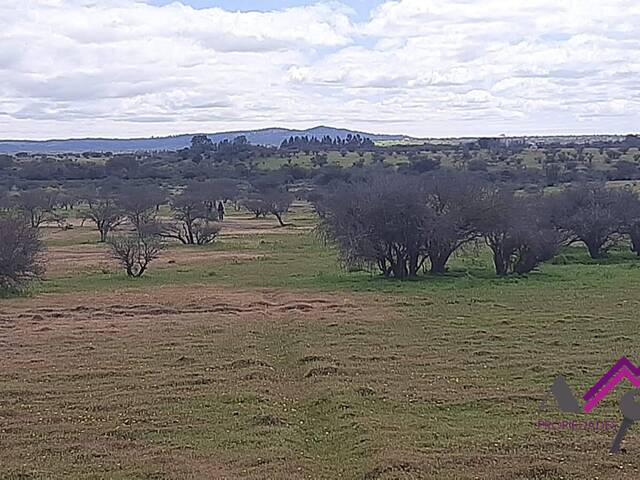 #206 - Área para Venta en Marchihue - VI