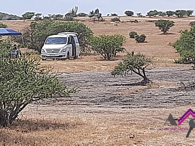 Área para Venta en Marchihue - 5