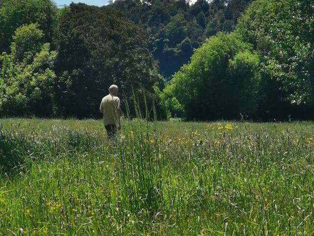 #228 - Terreno para Venta en Puerto Montt - X - 1