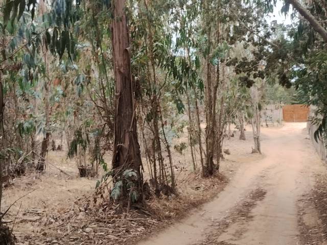 #240 - Área para Venta en Algarrobo - V