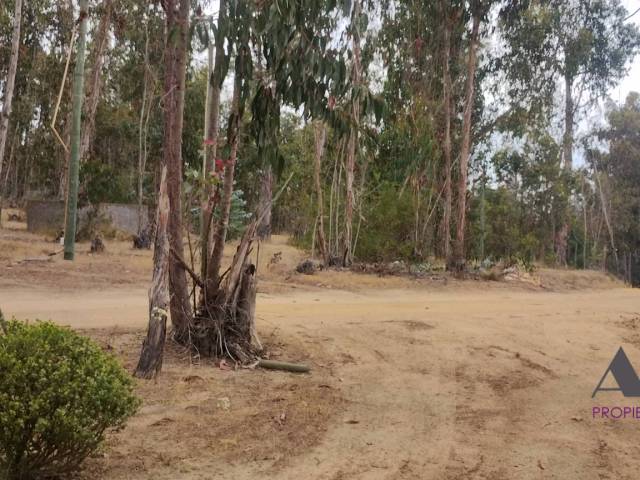 #240 - Área para Venta en Algarrobo - V