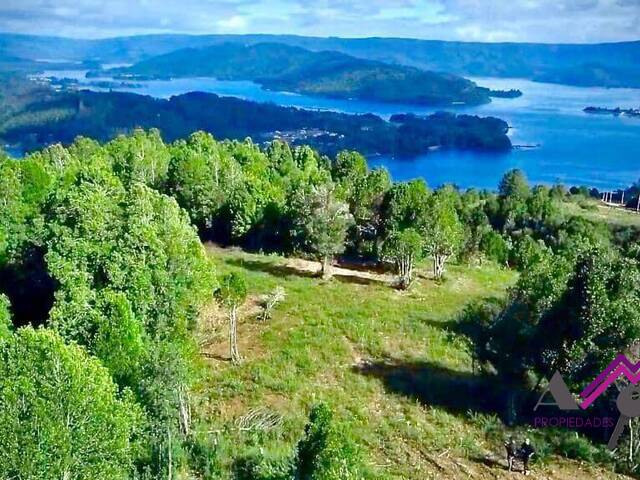 #249 - Terreno para Venta en Valdivia - XIV
