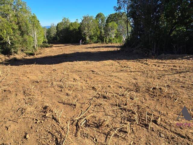 #249 - Terreno para Venta en Valdivia - XIV
