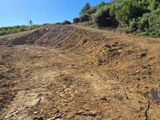 #249 - Terreno para Venta en Valdivia - XIV