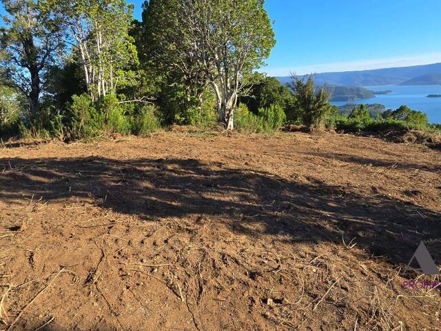 Terreno para Venta en Valdivia - 4