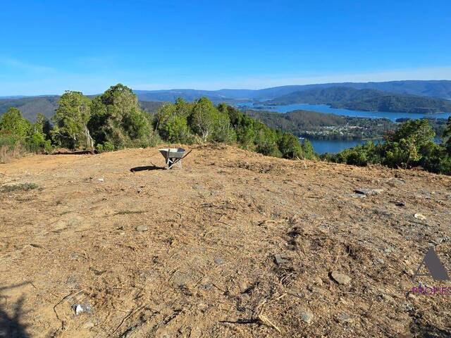 Terreno para Venta en Valdivia - 5