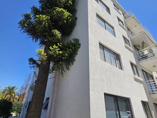 #252 - Penthouse para Venta en San Bernardo - XIII